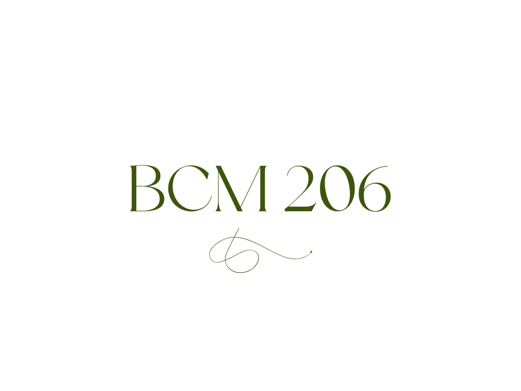 BCM 206 – PROJECT IDEATION FOR MY DIGITAL&nbsp;ARTEFACT